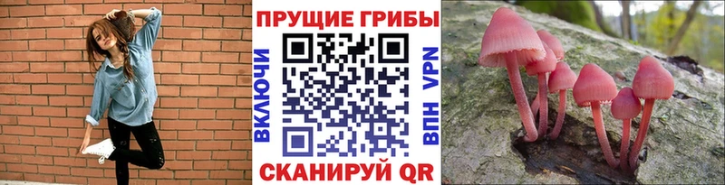Псилоцибиновые грибы ЛСД  где можно купить   Елабуга 