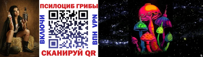 Галлюциногенные грибы Psilocybe Елабуга